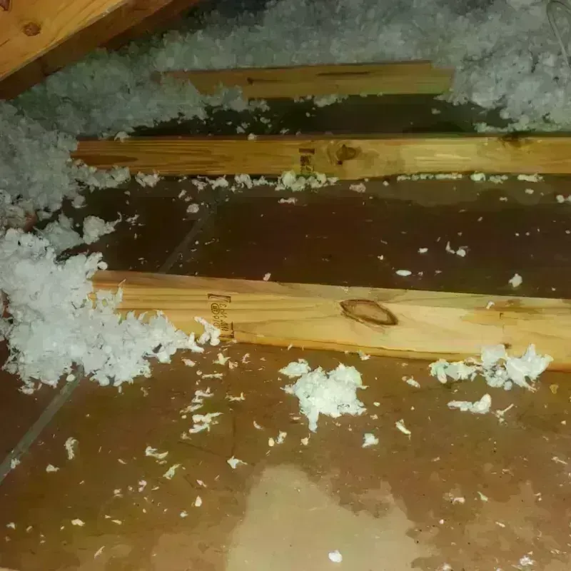 Attic Water Damage in Northern Cambria, PA